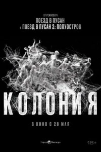 Колония